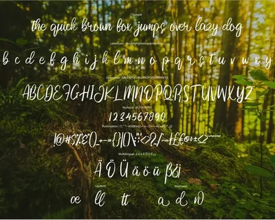 Huntten | Cute Script Font