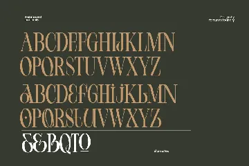 Cd Vienna Serif Font Family