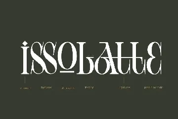 Cd Vienna Serif Font Family