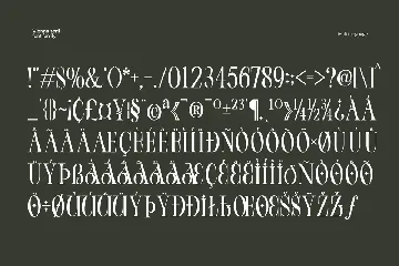 Cd Vienna Serif Font Family