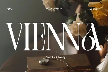 Cd Vienna Serif Font Family