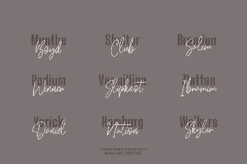 Pillish Font Duo - Sans And Script