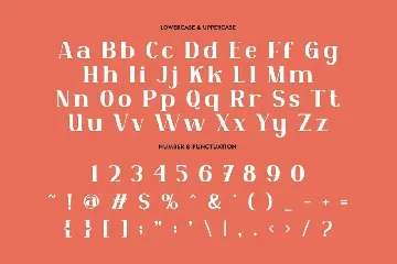 Yenisei - Modern Serif Font