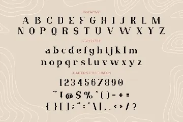 Lafonsa - Stylistic Serif Font