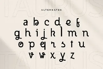 Taurus - Modern Unique Stylish Font