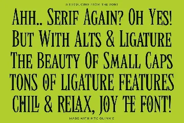 MTC Quinnie - Condensed Serif Display font