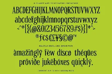 MTC Quinnie - Condensed Serif Display font