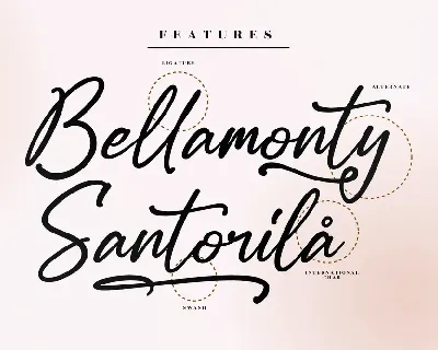 Modern Script Font