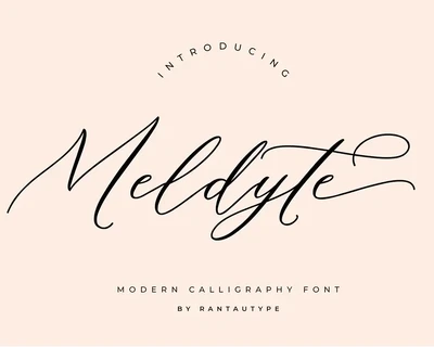 Meldyte Wedding Calligraphy Font