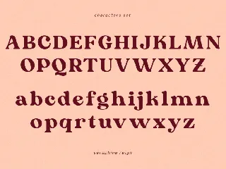 Seraphina Reign - Serif Typeface font