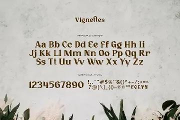 Vignettes - Feminine Type font