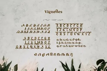 Vignettes - Feminine Type font