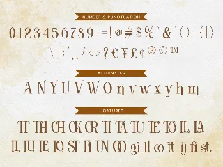Koolegi Lovely Serif font