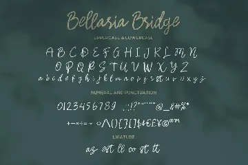 Bellaria Bridge - Handwritten Script fonts