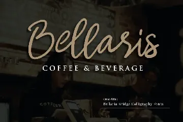 Bellaria Bridge - Handwritten Script fonts