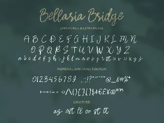 Bellaria Bridge - Handwritten Script fonts