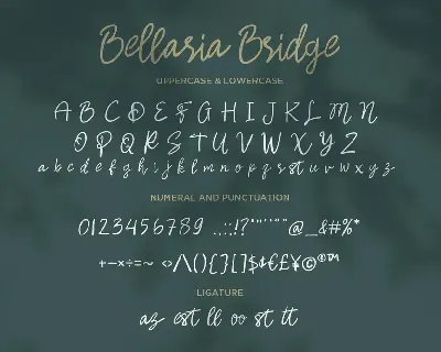 Bellaria Bridge - Handwritten Script fonts