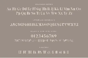 Branela Experiemental Serif font