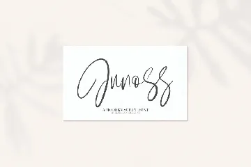 Junos Ridge - Handwritten Brush Font