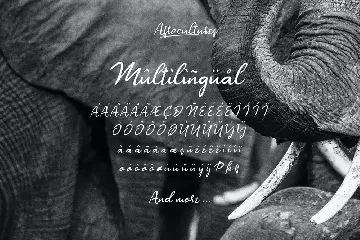 Afrocultures - Exotic Type font
