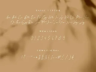 Hiliana Signature Font