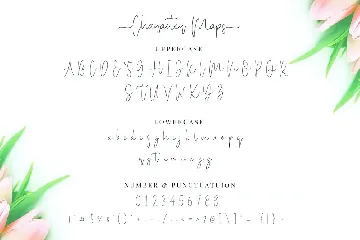 Miya Wayne - Modern Lovely Script Font