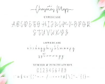 Miya Wayne - Modern Lovely Script Font