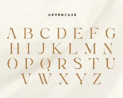 Kumar - Unique Beauty Serif Font