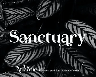 The Atlantic - Modern Serif Font