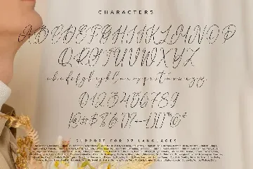 Slinces Heart font