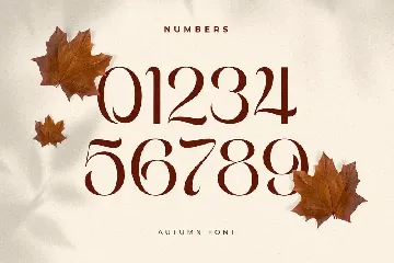Autumn - Unique Display Font