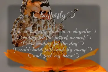 Marigold Butterfly font