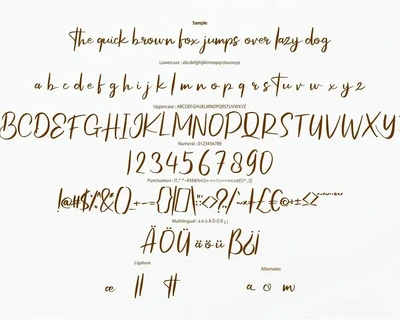 Hefasik | Modern Script Font