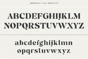 Bergavick Ligature Serif Font