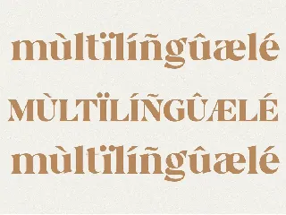 Bergavick Ligature Serif Font