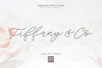 Southwide Feminine Script Font