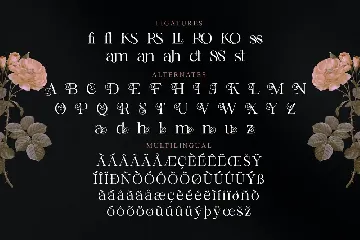 Rossela Modern Serif Font