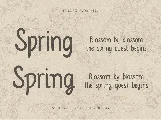 Springtown Typeface font