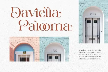 Bavicka - Stylish Ligature Font