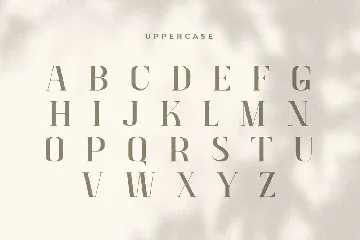 Quora - Fashion Ligature Serif font