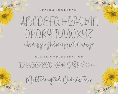Makes Request Handwriting Font
