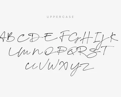 Script Fonts Duo
