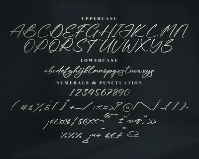 Rodriguez Xavier Brush Signature Font