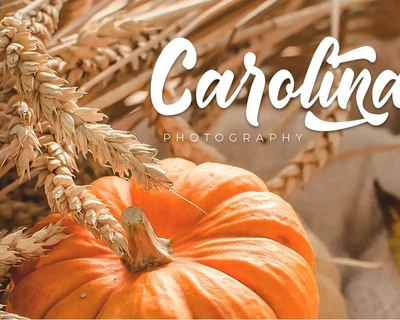 Rantika - Bold Script font