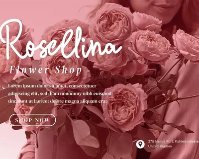 Little Sister - Modern Script fonts