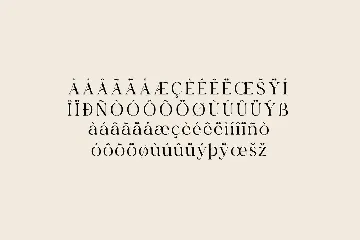 Firgine Modern Serif Font