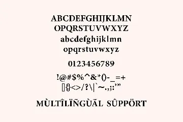 Loisville - Serif Font