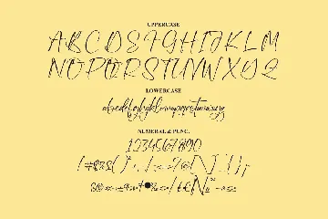 Amynha Signature Font