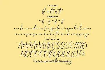 Amynha Signature Font