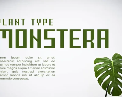 Flawren Font